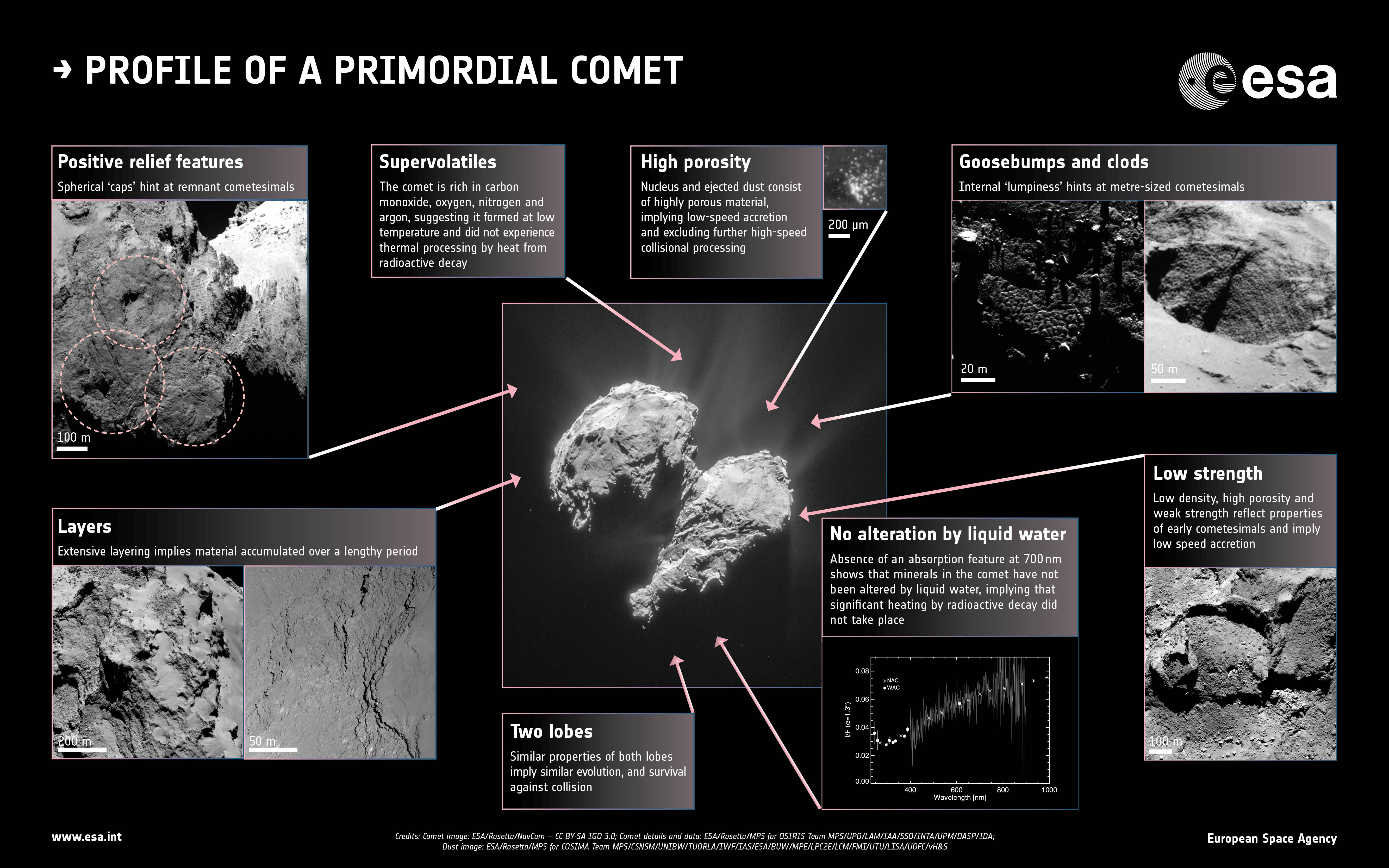 Profile_of_a_primordial_comet